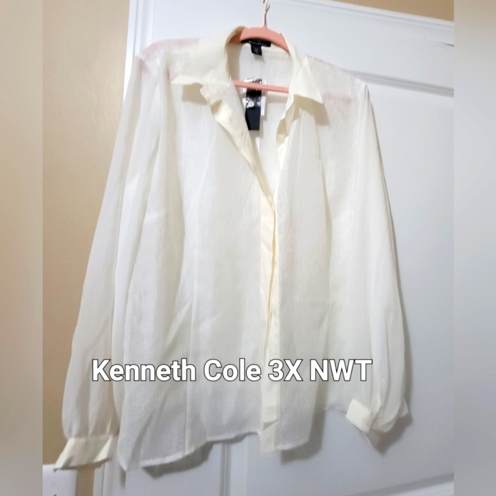 Kenneth Cole sheer top